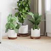 Product Thumbnail Image 2 of 13