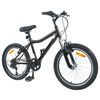 vidaXL Kids Bike 20'' 6-Speed for 6-11 Years Old Black