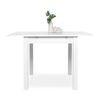 Finori Extendable Dining Table Coburg 80 White