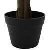 Product Thumbnail Image 5 of 6