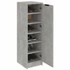 vidaXL Shoe Cabinet Concrete Grey 30x35x100 cm Engineered Wood