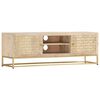 vidaXL TV Cabinet Gold 120x30x40 cm Solid Mango Wood