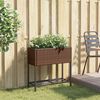 Product Thumbnail Image 3 of 11