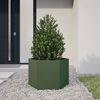 Product Thumbnail Image 2 of 10