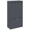 vidaXL Parcel Drop Box with Storage Anthracite 44 x 22 x 82 cm Steel