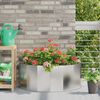 Product Thumbnail Image 2 of 12