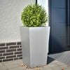 Product Thumbnail Image 2 of 11