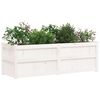 vidaXL Garden Planter White 150x50x50 cm Solid Wood Pine