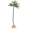 Product Thumbnail Image 2 of 10