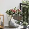 Product Thumbnail Image 2 of 12