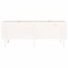 vidaXL Garden Raised Bed White 160x50x57 cm Solid Wood Pine