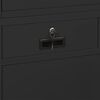vidaXL Office Cabinet Anthracite 90x40x180 cm Steel and Tempered Glass