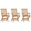 vidaXL Folding Chairs 3 pcs Solid Teak Wood
