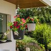 LECHUZA Hanging Planter NIDO Cottage 35 ALL-IN-ONE Granite