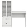 vidaXL Desk with Drawer 2 pcs White