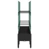 Product Thumbnail Image 4 of 7