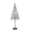 Product Thumbnail Image 4 of 14