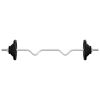 vidaXL Barbell with Plates 90 kg Cast Iron & Chrome Plated Steel