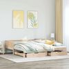 vidaXL Daybed with Trundle and Drawers without Mattress 80x200 cm