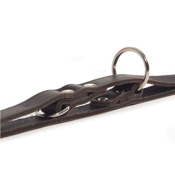 Beeztees Training Leash Leather Brown 200x1.2 cm 736401