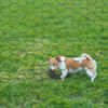 Product Thumbnail Image 2 of 2