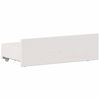 Product Thumbnail Image 11 of 15
