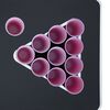vidaXL Folding Beer Pong Table with Cups and Balls 240 cm
