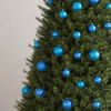 Product Thumbnail Image 3 of 10