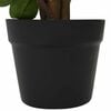 Product Thumbnail Image 4 of 5