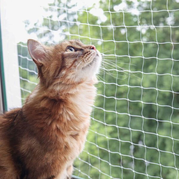 Kerbl Cat Safety Net 6x3 m Transparent