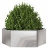 Product Thumbnail Image 3 of 10