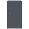 vidaXL Mailbox with Storage with Door Anthracite 30 x 20 x 55 cm Steel