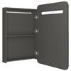vidaXL LED Bathroom Mirror Cabinet Anthracite 60x11x80 cm