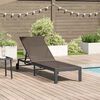 vidaXL Sunbed 1-person Brown 60 x 200 x 27cm Poly Rattan