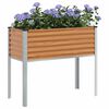 Product Thumbnail Image 3 of 12