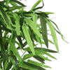 Product Thumbnail Image 2 of 4