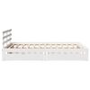Product Thumbnail Image 5 of 11