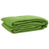 vidaXL Tent Carpet Light Green 250x300 cm HDPE