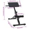 vidaXL Hyperextension Bench Manual Black 100.5 x 70 x 78 cm