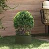 Product Thumbnail Image 2 of 10