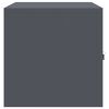vidaXL Storage Cabinet Anthracite 80 x 40 x 40 cm Cold-Rolled Steel