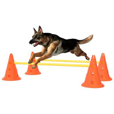 vidaXL Dog Activity Obstacle Set Orange and Yellow