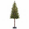 Product Thumbnail Image 4 of 9