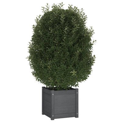 vidaXL Garden Planter Grey 40x40x40 cm Solid Pinewood