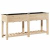 vidaXL Garden Planter Beige 161 x 43 x 76.5 cm Solid Fir Wood