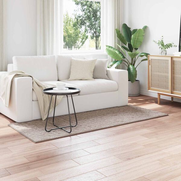 vidaXL Area Rugs Rectangular Sand 150 x 80 cm