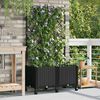 Product Thumbnail Image 2 of 8