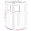 Product Thumbnail Image 7 of 7