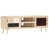 vidaXL TV Cabinet 120x30x40 cm Solid Mango Wood