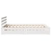 Product Thumbnail Image 5 of 11